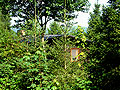 Verborgen im Bayerwald: Mehr sieht man nicht vom Holzhäuschen mit der Hausnummer 2, wenn man auf der Terrasse des Nachbarhäuschens steht.